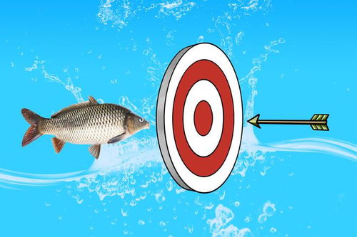 網(wǎng)購魚餌和釣具的4點心得 從漁具銷售角度挑選靠譜裝備